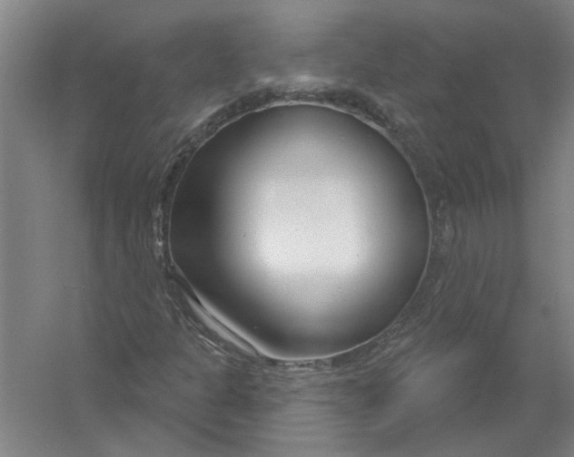 X0000054421301200508192047