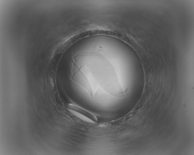 X0000054421303200508192047