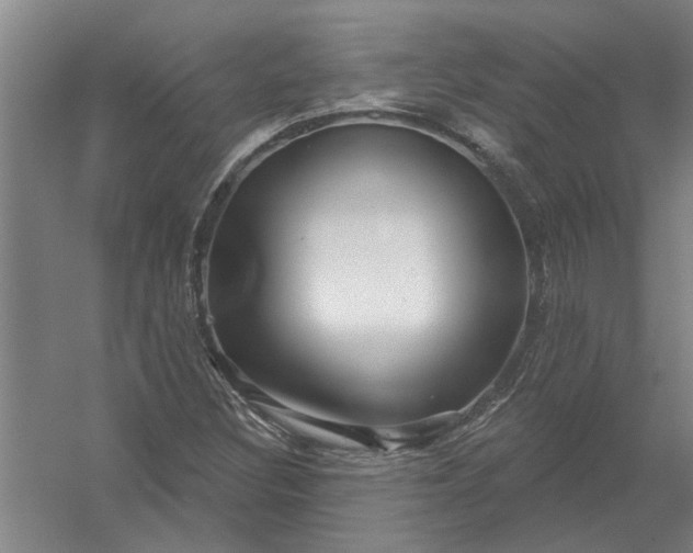 X0000054421308200508192047