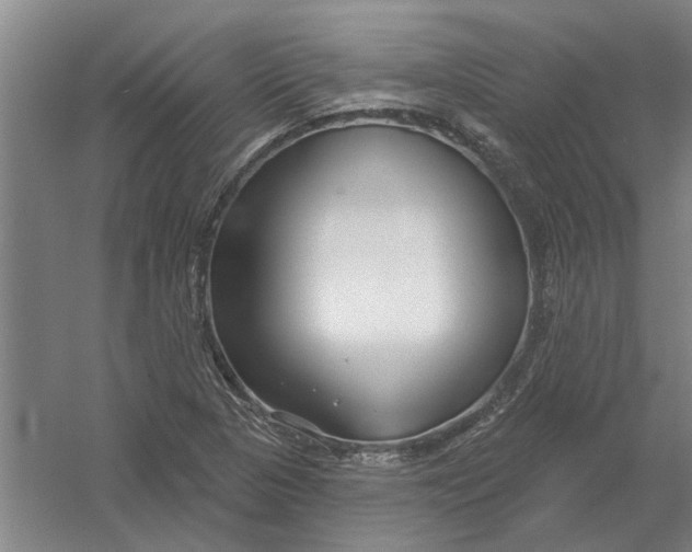 X0000054421313200508192047