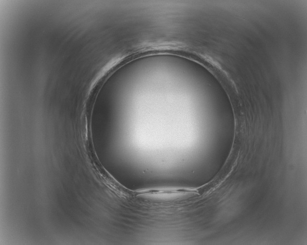 X0000054421317200508192047