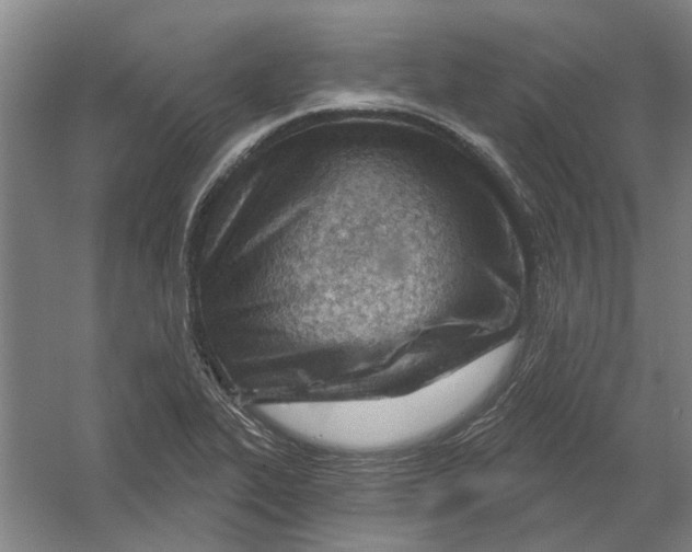 X0000054421319200508192047