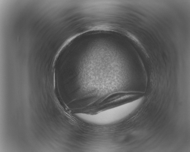 X0000054421323200508192047