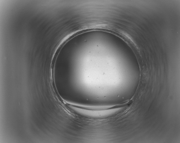 X0000054421324200508192047