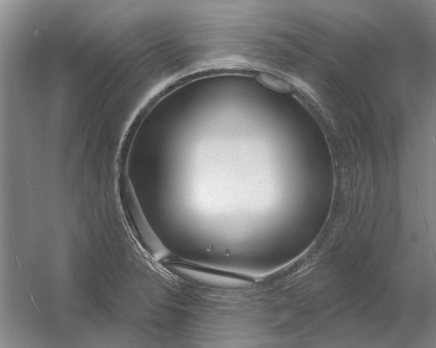 X0000054421326200508192047