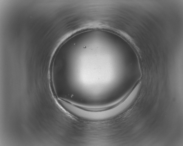 X0000054421335200508192047