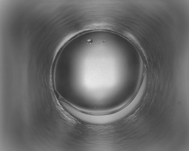 X0000054421336200508192047