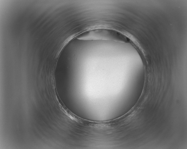 X0000054421337200508192047