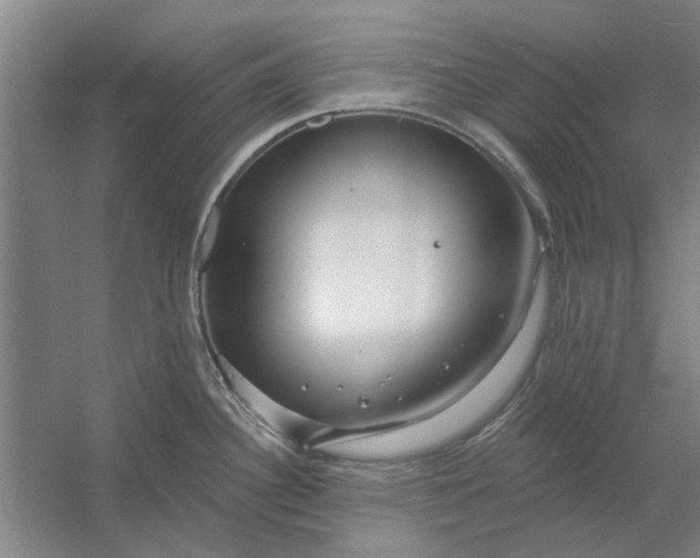 X0000054421340200508192047