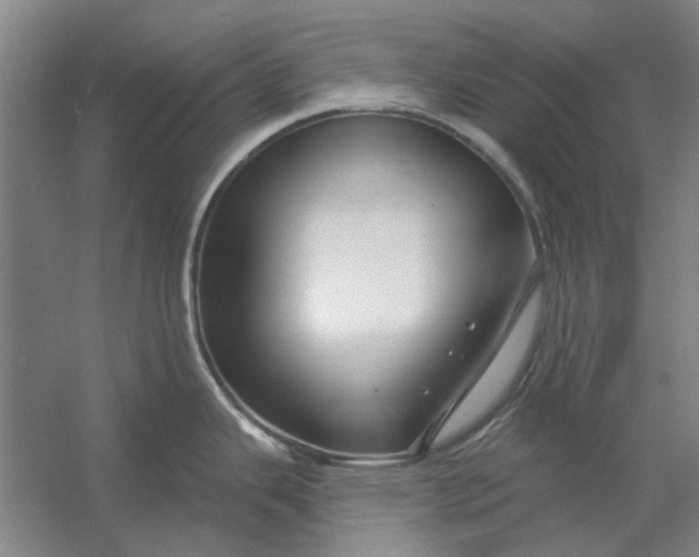 X0000054421343200508192047