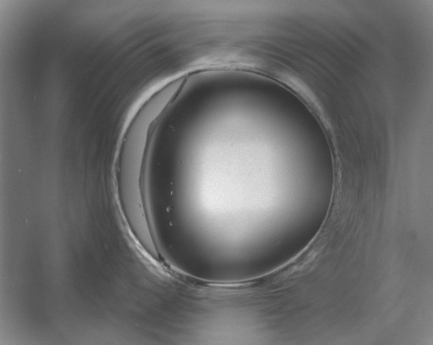 X0000054421344200508192047