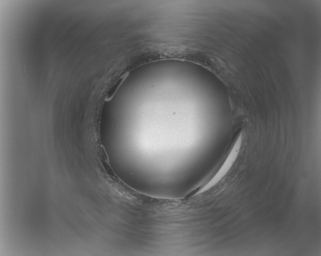 X0000054421345200508192047