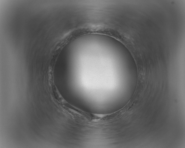 X0000054421349200508192046