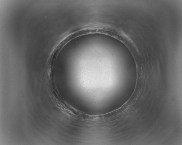 X0000054421352200508192046