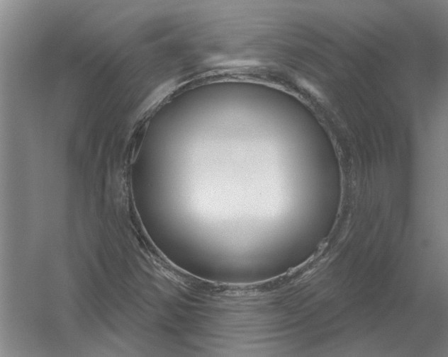 X0000054421354200508192046