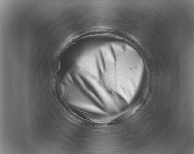X0000054421355200508192046