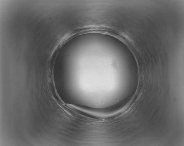 X0000054421357200508192046