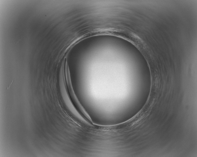 X0000054421361200508192046