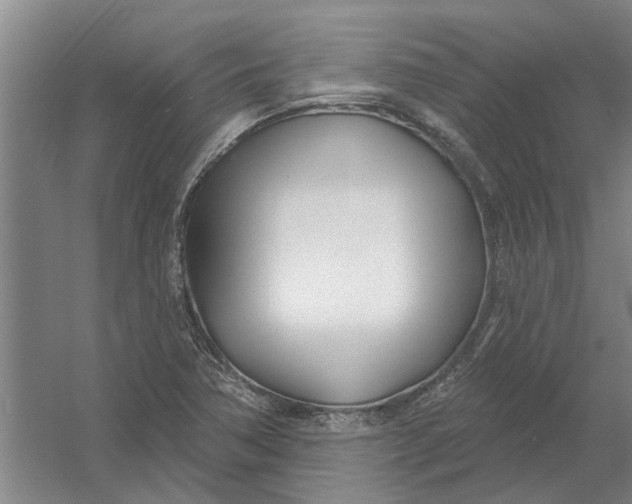 X0000054421362200508192046