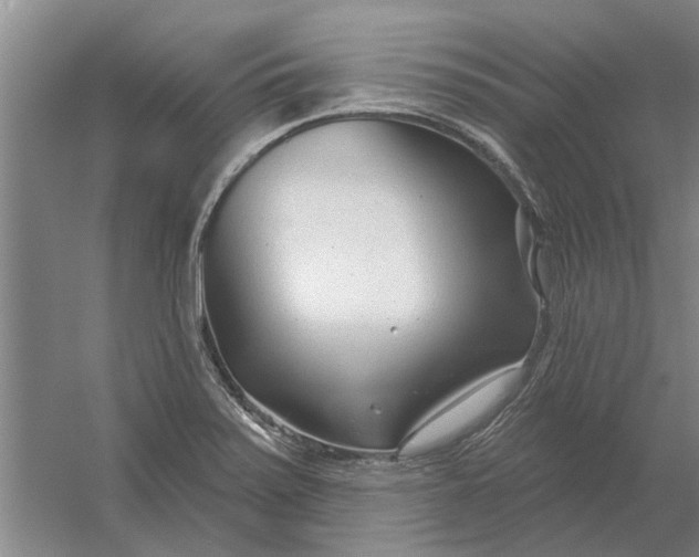 X0000054421371200508192046