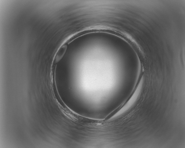 X0000054421372200508192046