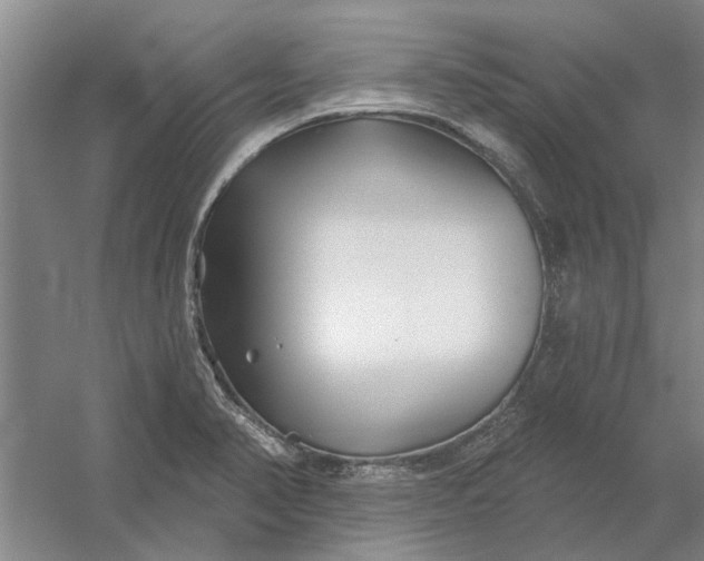 X0000054421374200508192046