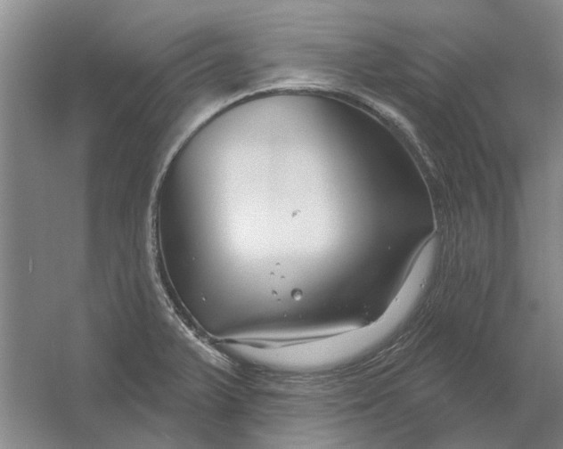 X0000054421375200508192046