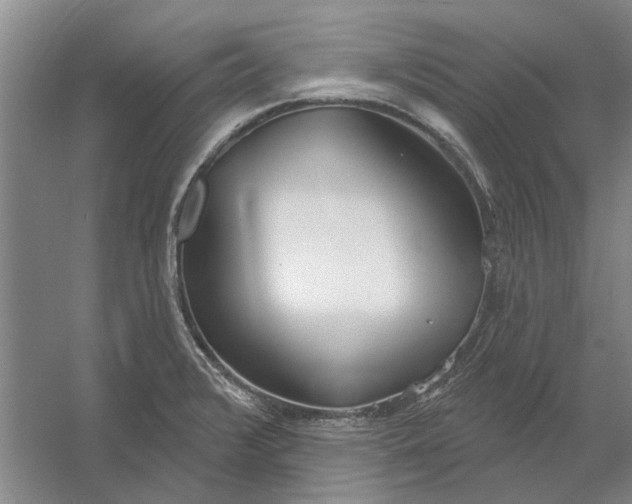 X0000054421376200508192046