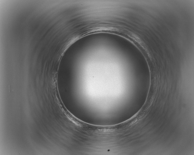 X0000054421377200508192046