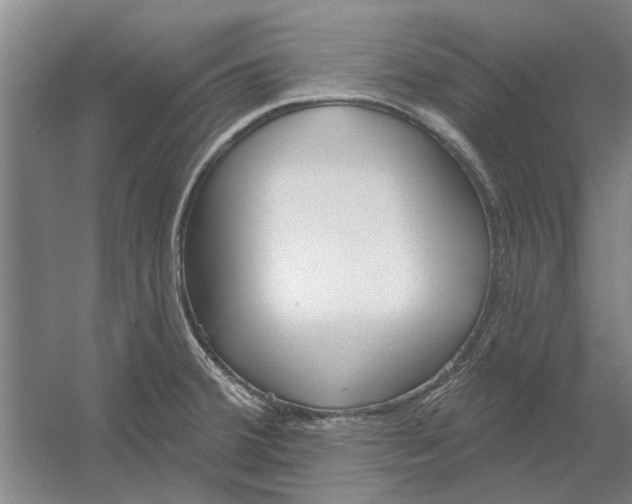 X0000054421380200508192046
