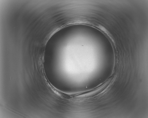 X0000054421385200508192046