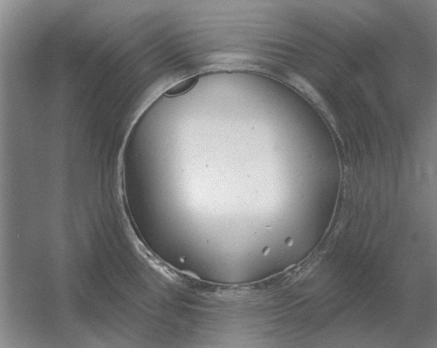 X0000054421386200508192046