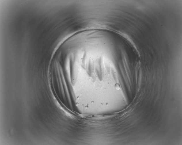 X0000054421387200508192046