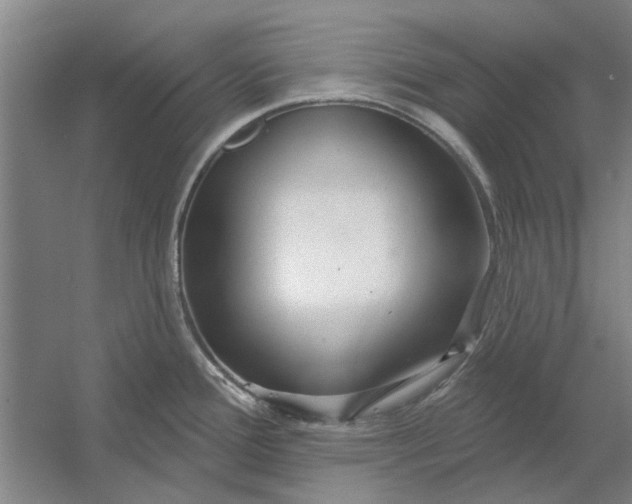 X0000054421388200508192046