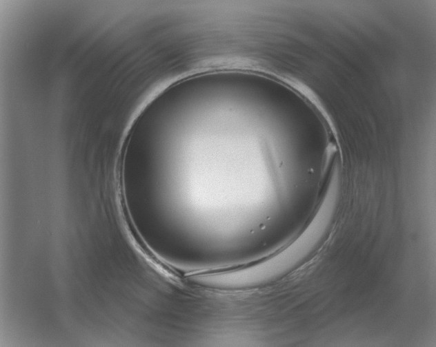 X0000054421389200508192046