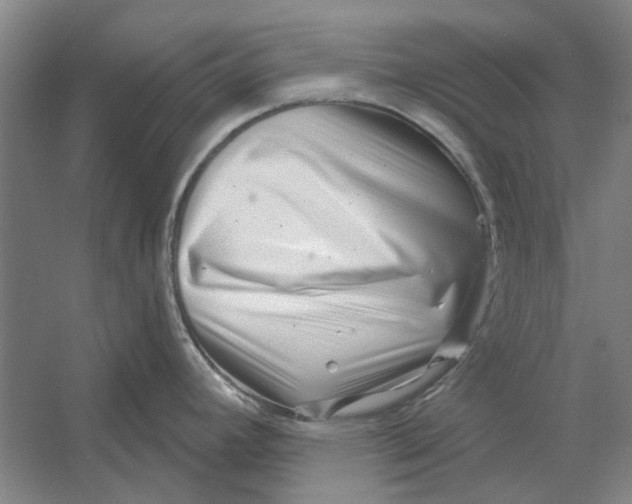 X0000054421392200508192046