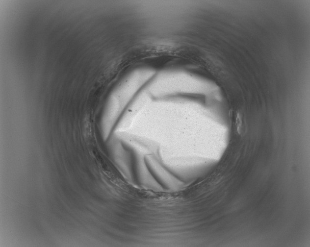 X0000054421395200508192045