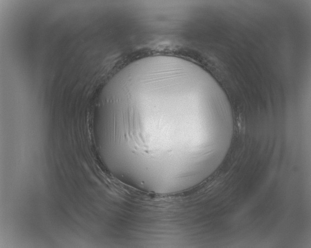 X0000054421396200508192045