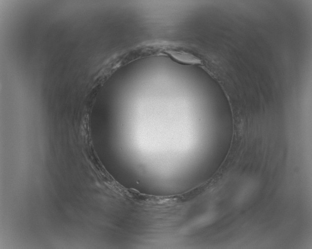 X0000054421397200508192045