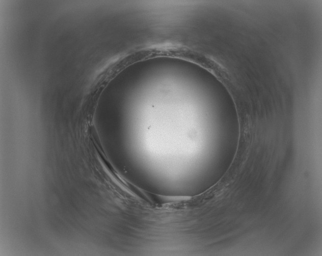 X0000054421398200508192045