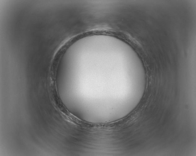 X0000054421400200508192045