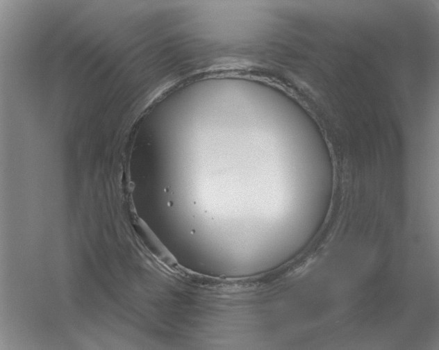 X0000054421401200508192045