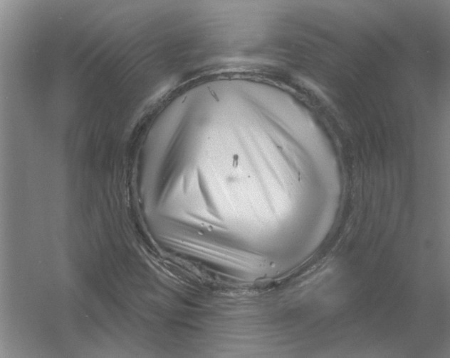 X0000054421403200508192045