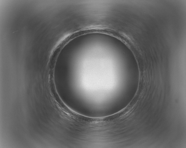 X0000054421406200508192045