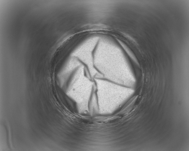X0000054421407200508192045