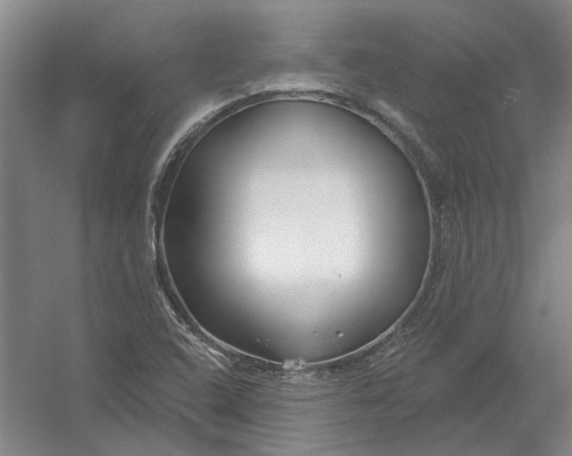 X0000054421408200508192045