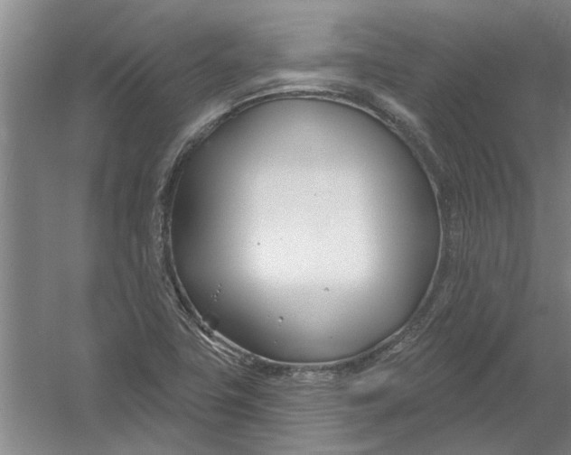X0000054421411200508192045