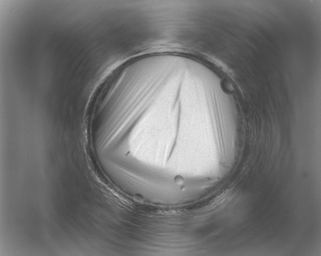 X0000054421415200508192045