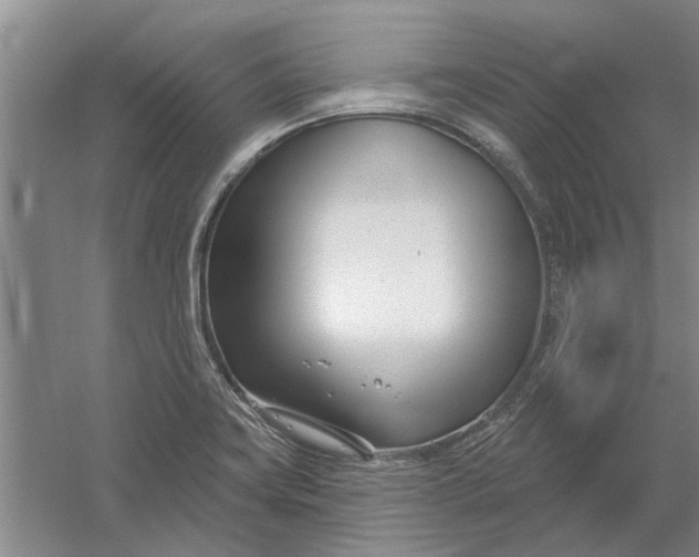 X0000054421419200508192045