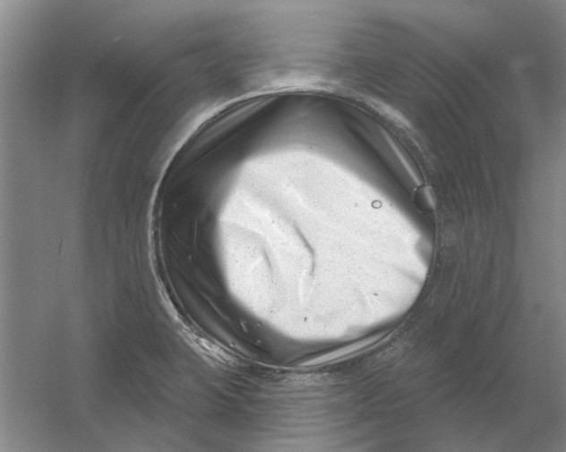 X0000054421423200508192045